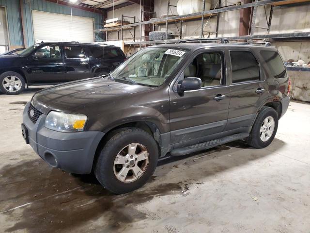 ford escape xlt 2007 1fmyu03127kc03008