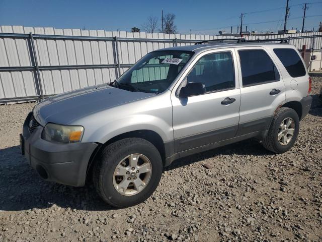 ford escape xlt 2005 1fmyu03135da16393