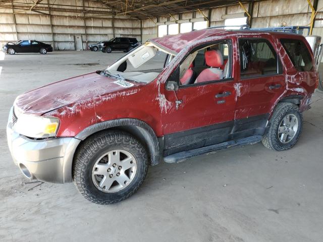 ford escape xlt 2005 1fmyu03135ka42391