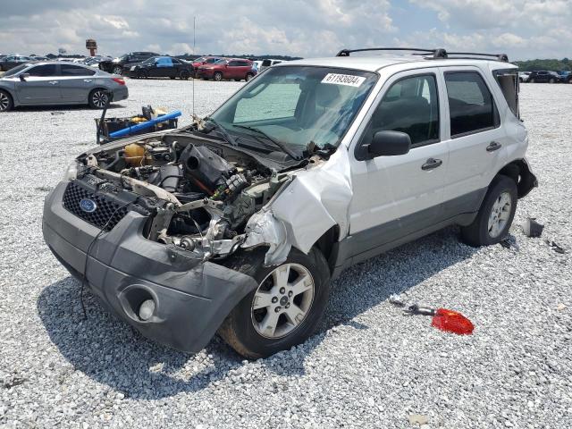 ford escape 2007 1fmyu03137ka16344