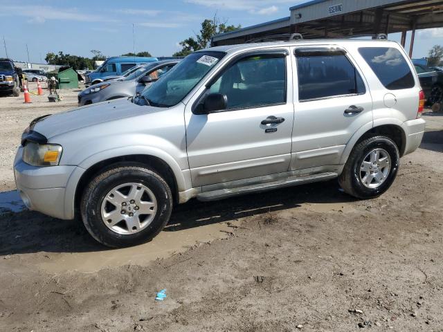 ford escape xlt 2007 1fmyu03137kb70360