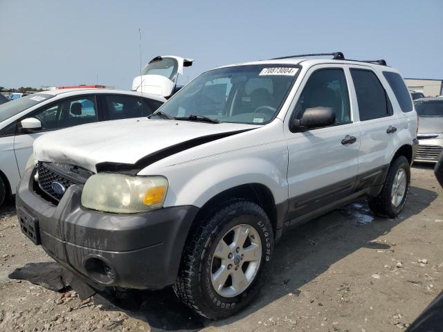 ford escape xlt 2007 1fmyu03147ka36103