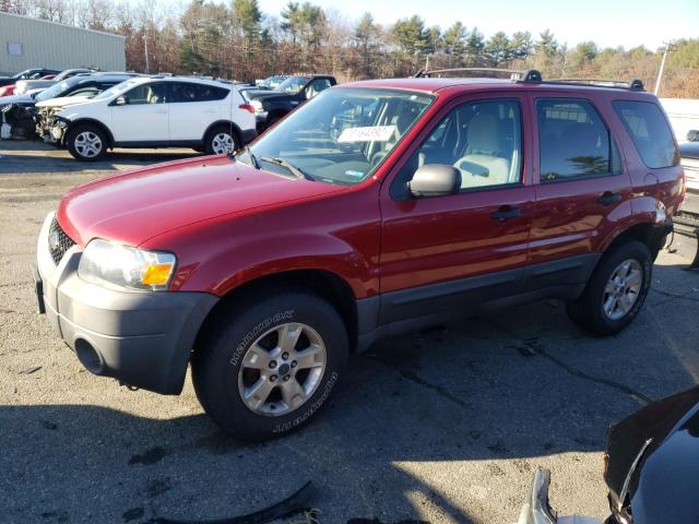 ford escape xlt 2005 1fmyu03155kc51146