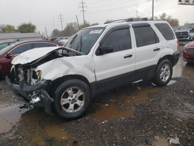 ford escape 2005 1fmyu03155kd86269