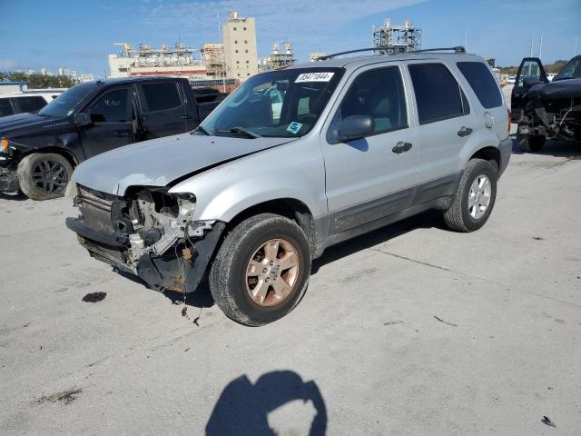 ford escape xlt 2006 1fmyu03156kb77695