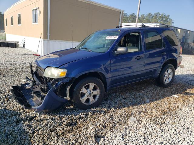 ford escape xlt 2007 1fmyu03167kb27664