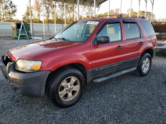 ford escape xlt 2007 1fmyu03167kc06493