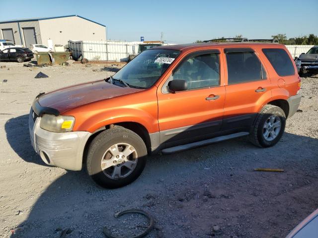 ford escape xlt 2006 1fmyu03186kc95045