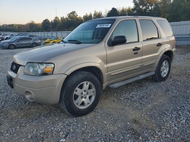 ford escape xlt 2007 1fmyu03187kb52257