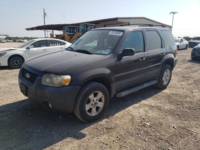 ford escape xlt 2007 1fmyu03187kb61248