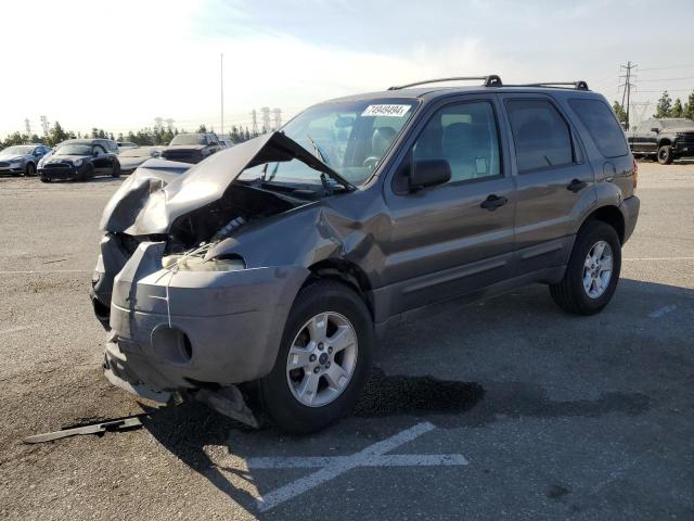 ford escape xlt 2005 1fmyu03195ka88193