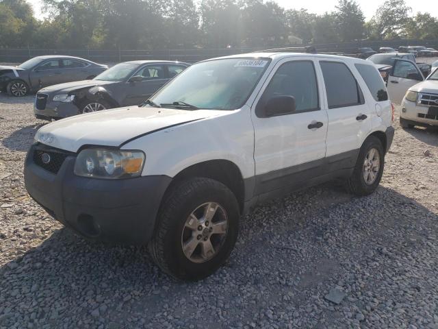 ford escape xlt 2006 1fmyu03196kc13419