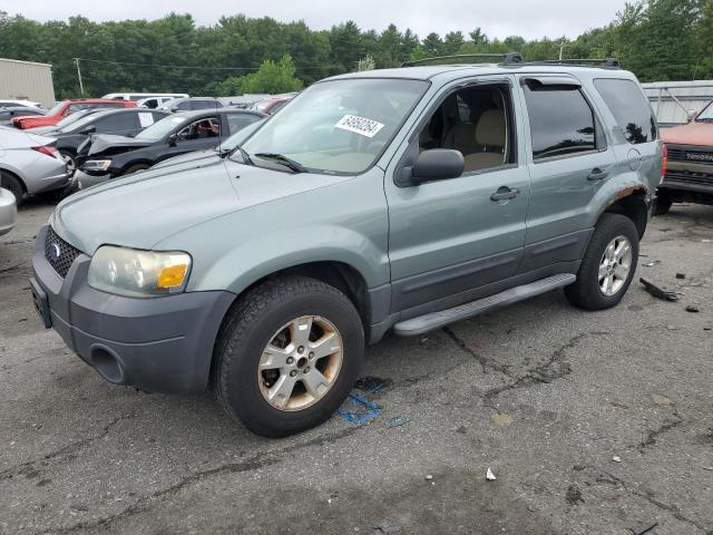 ford escape xlt 2006 1fmyu03196kd19403