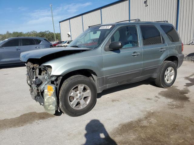 ford escape xlt 2006 1fmyu03196kd19417