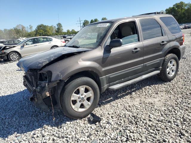 ford escape xlt 2007 1fmyu03197ka24898