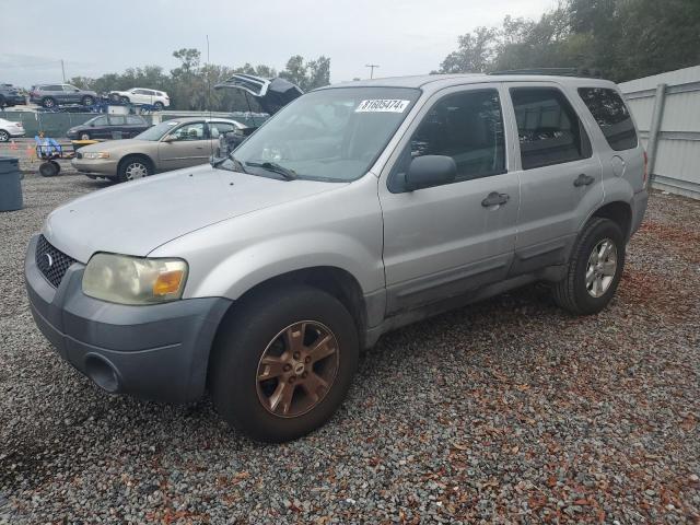 ford escape xlt 2007 1fmyu03197ka49588