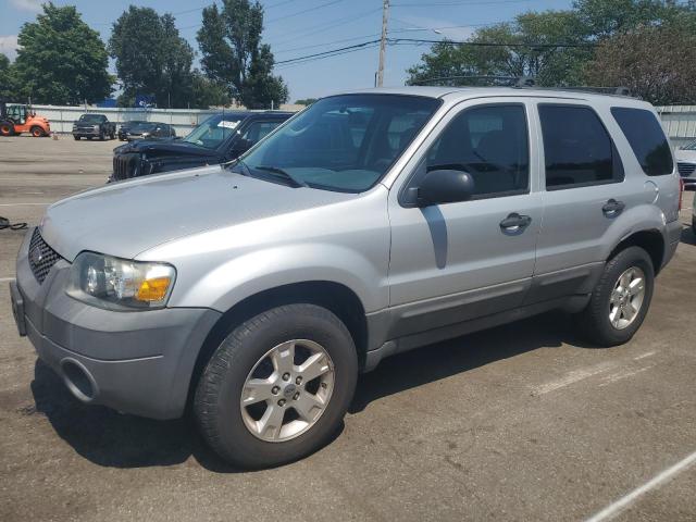 ford escape xlt 2007 1fmyu031x7ka77433