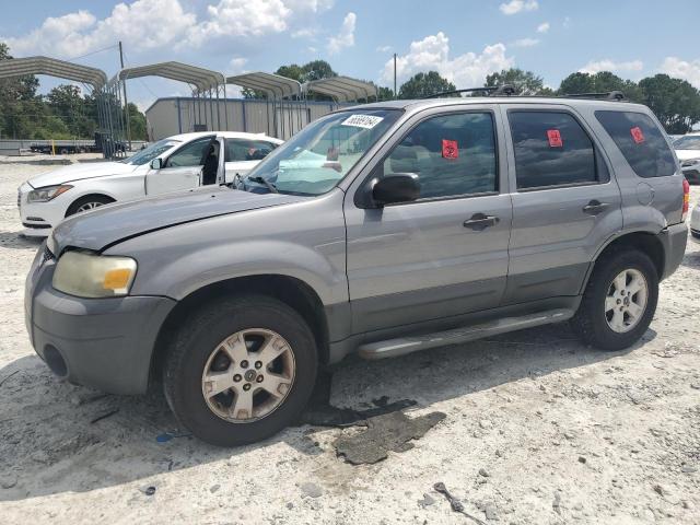 ford escape xlt 2007 1fmyu03z07kb08212