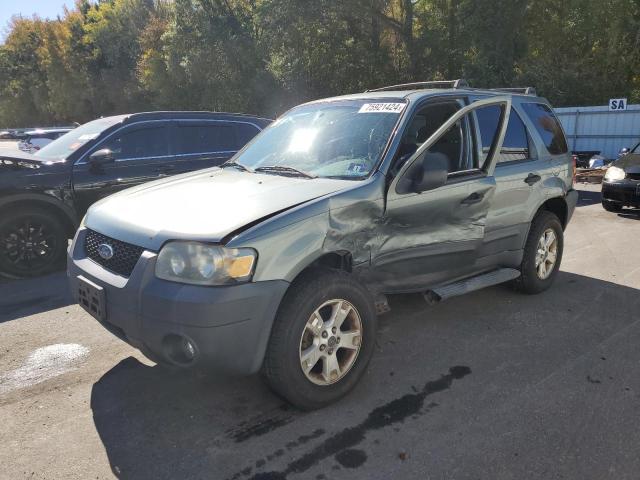 ford escape xlt 2006 1fmyu03z16kb00067