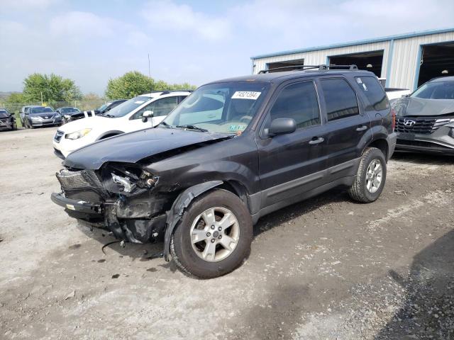 ford escape xlt 2006 1fmyu03z46kd02983