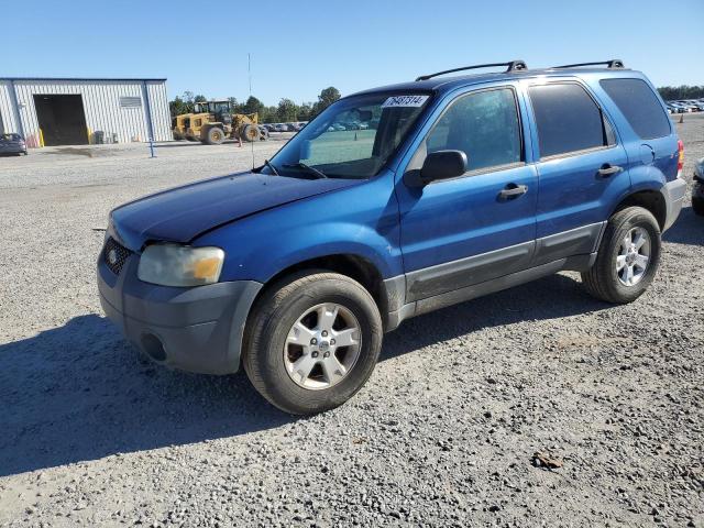 ford escape xlt 2007 1fmyu03z67ka04033