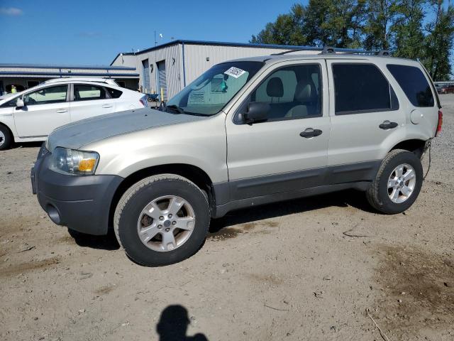 ford escape xlt 2005 1fmyu93105kd73448