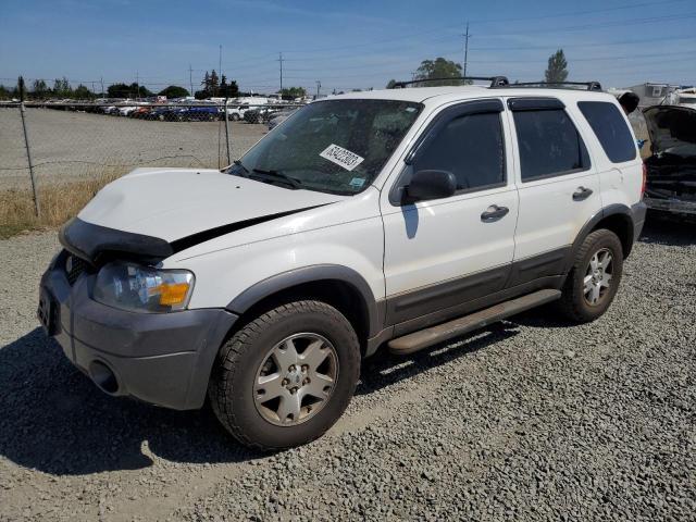 ford escape xlt 2006 1fmyu93106kc63372