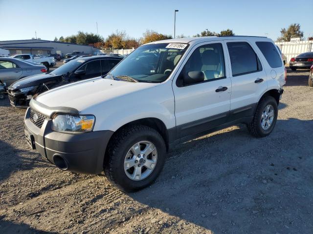 ford escape xlt 2006 1fmyu93116kc35452