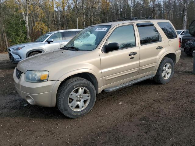 ford escape xlt 2007 1fmyu93117ka26763