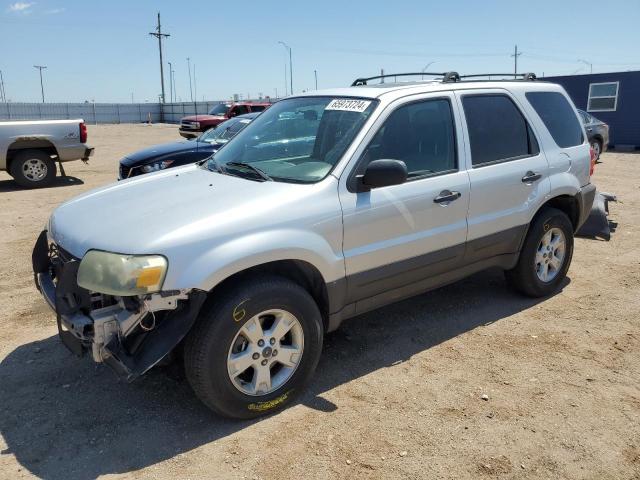 ford escape xlt 2007 1fmyu93117kb88747