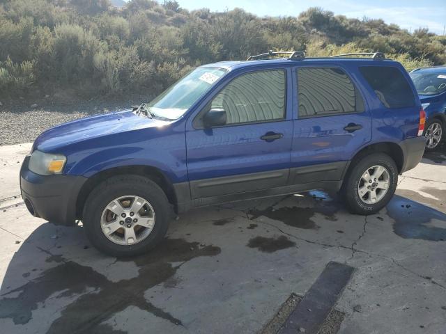 ford escape xlt 2005 1fmyu93125kd73421