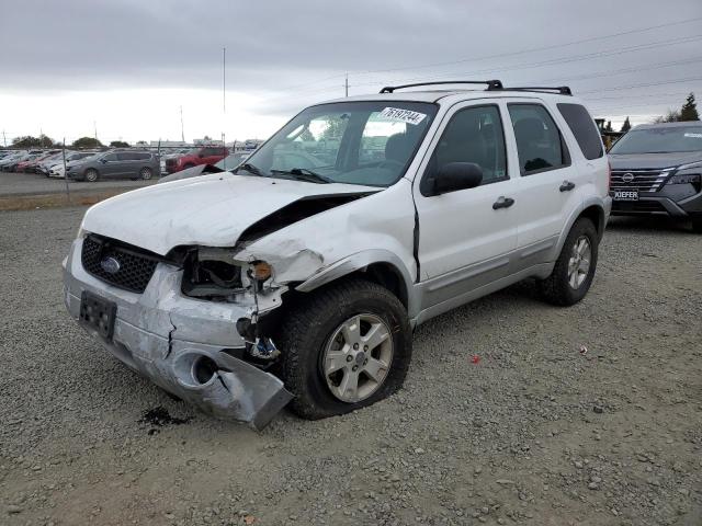 ford escape xlt 2007 1fmyu93127kc05619