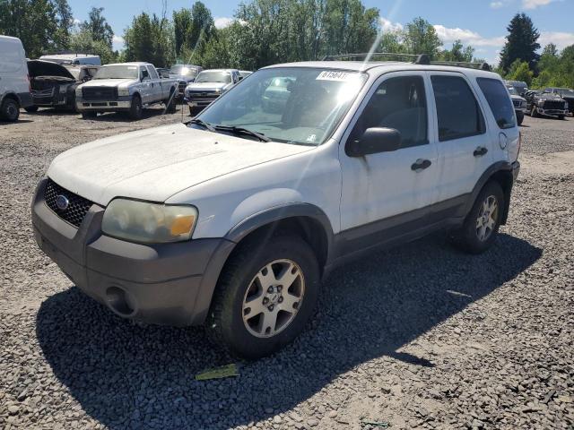 ford escape xlt 2005 1fmyu93135kb07423