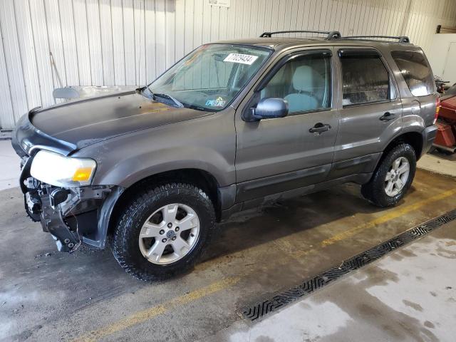 ford escape xlt 2006 1fmyu93136kb47339