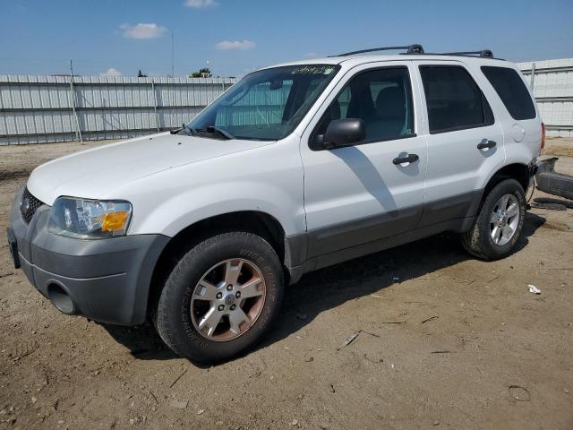 ford escape xlt 2005 1fmyu93155ka60816