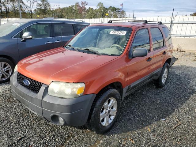 ford escape xlt 2006 1fmyu93156kb87647