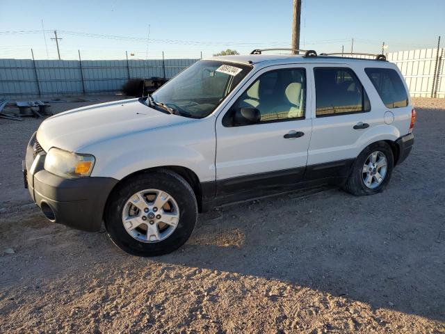 ford escape xlt 2006 1fmyu93166kd34462