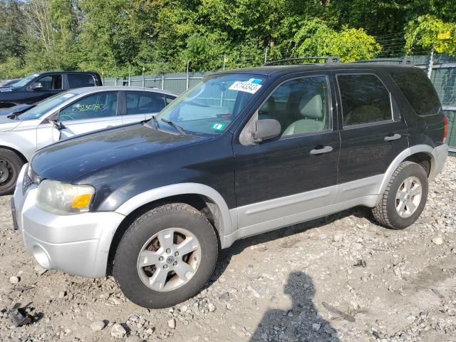 ford escape xlt 2007 1fmyu93167ka67325