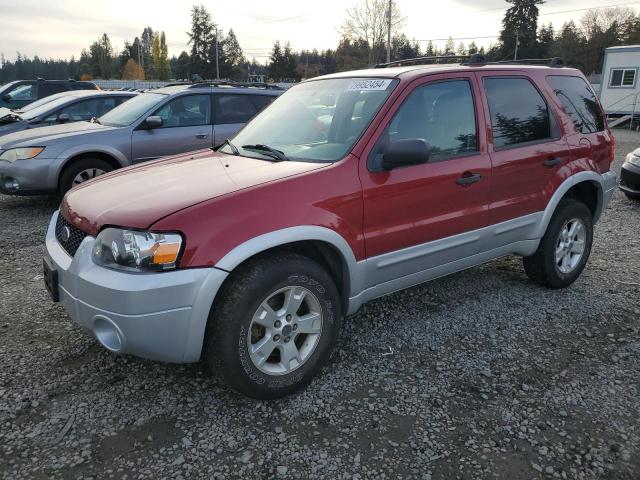 ford escape xlt 2007 1fmyu93167kb78599