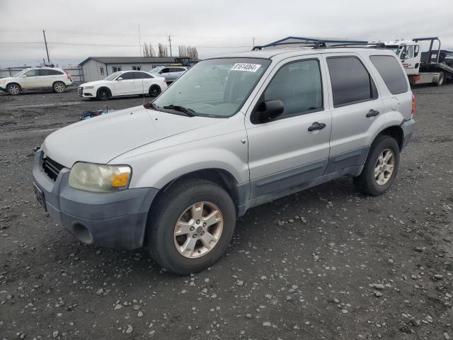 ford escape xlt 2005 1fmyu93175ka30751