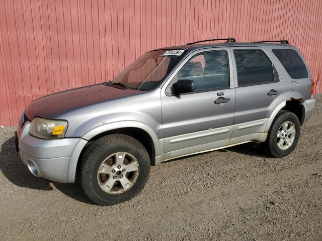 ford escape xlt 2007 1fmyu93187ka81467