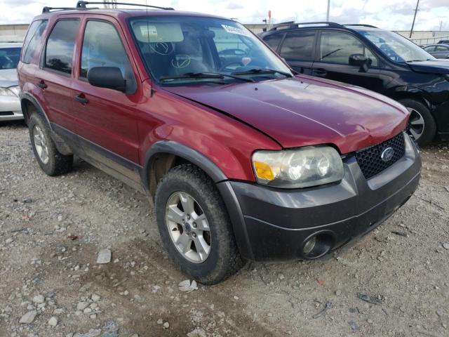 ford escape xlt 2005 1fmyu93195kb77511