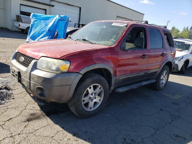 ford escape xlt 2005 1fmyu93195kd40254