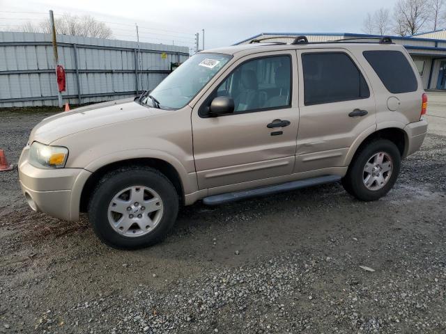 ford escape xlt 2007 1fmyu93197ka14568