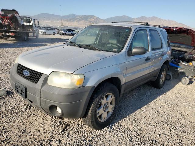 ford escape xlt 2007 1fmyu93197ka19253