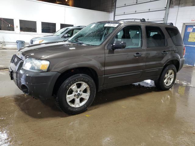 ford escape xlt 2007 1fmyu93197ka29572