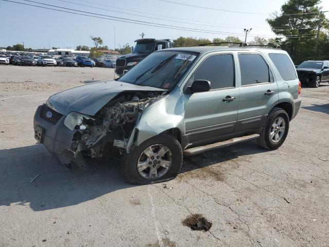 ford escape xlt 2007 1fmyu93197kb98040