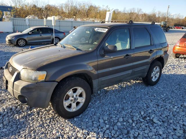 ford escape xlt 2007 1fmyu93z17kb27856