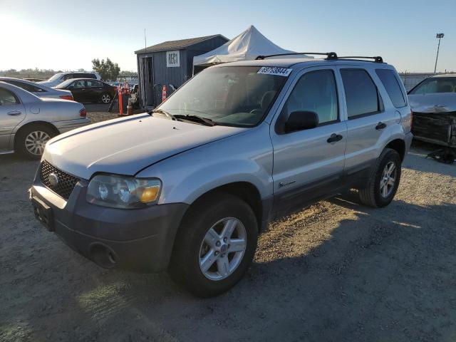 ford escape hev 2006 1fmyu95h06kc05899