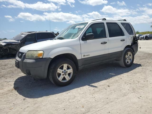 ford escape 2006 1fmyu95hx6kd03788